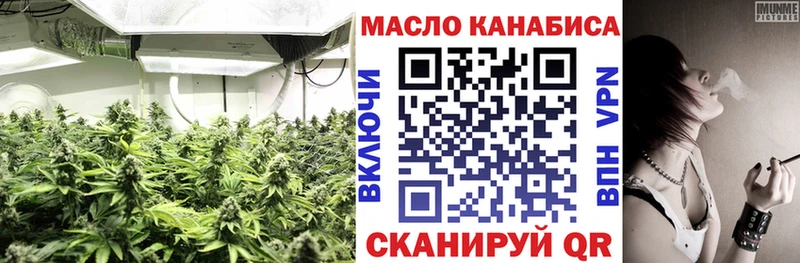 Купить где  Миньяр  ТГК концентрат 