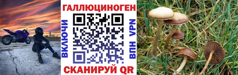Псилоцибиновые грибы GOLDEN TEACHER  Купить закладки  Миньяр 