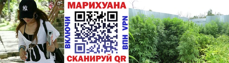 Купить  Миньяр  Шишки марихуана тримм 